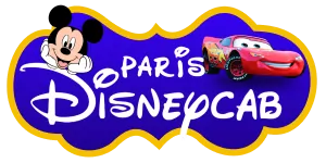 Paris Disney Transfer